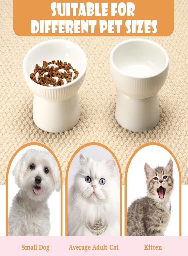 Afarnook 2 Pcs Raised Cat Slow Feeder Bowl Ceramic Elevated Cat Bowls, No Spill High Edge, Anti Vomiting for Pets Kitten Puppies Dry Wet Food and Water, Dishwasher Safe - Image 4